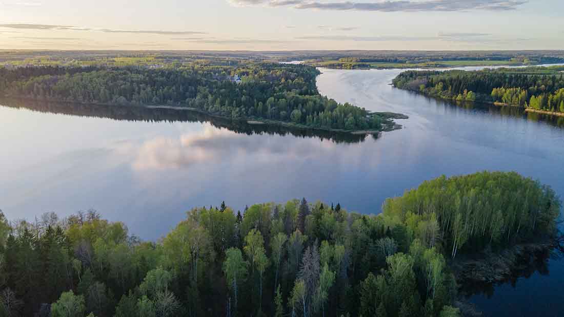 Фотография участка 10 Га в ДНТ Озерна на Рижском шоссе